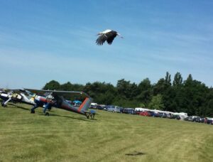 Storch mit Wilga 35 PZL-104