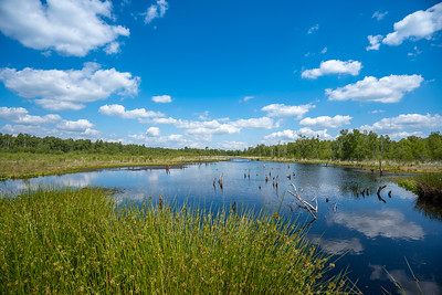 Naturschutzgebiet